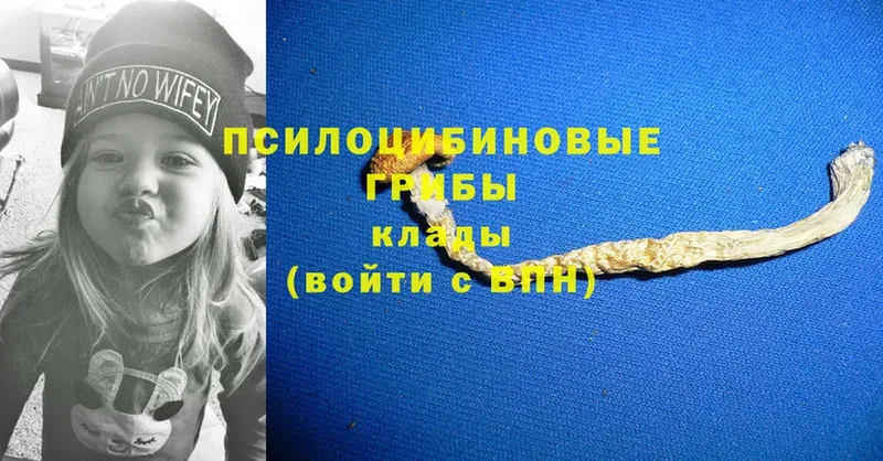 Псилоцибиновые грибы GOLDEN TEACHER  дарк нет наркотические препараты  Боровск 